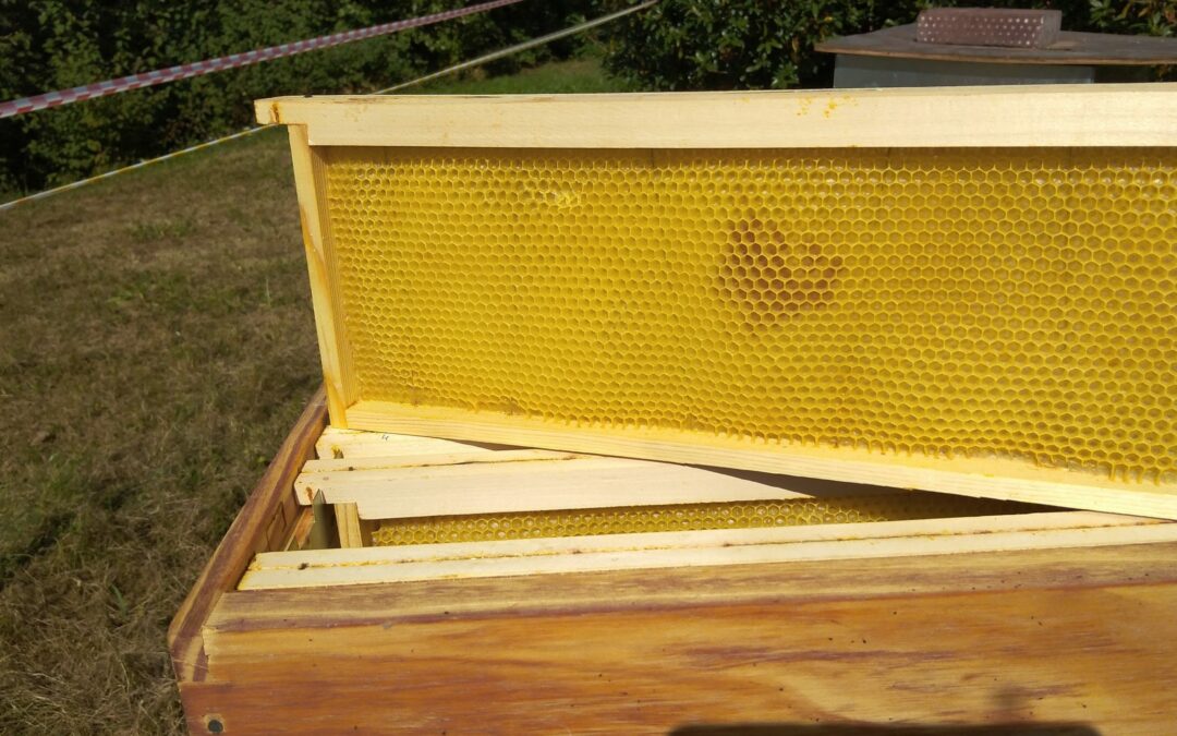 2021 : Préparation des ruches à l’hiver